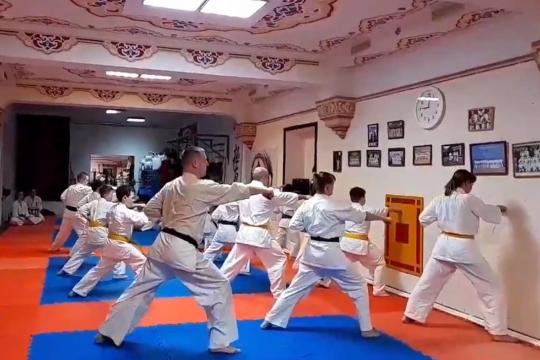 Старшая группа делает ката 